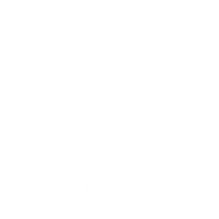 Latest & Trendy Outfits